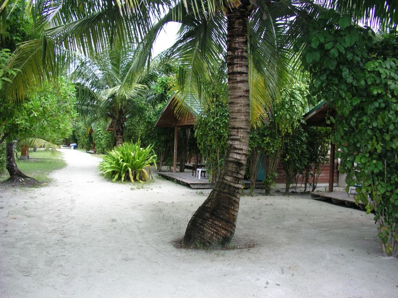 Мальдивы 2006 003.jpg