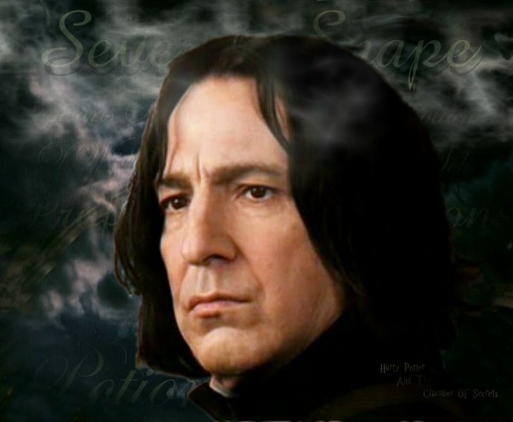 SeverusSnapewallstormy.JPG
