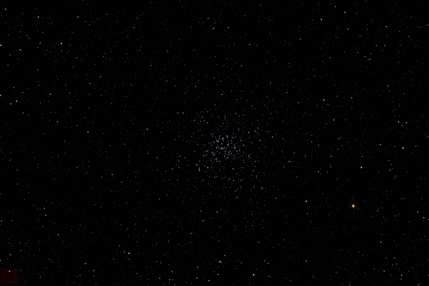 Звёздное скопление M37