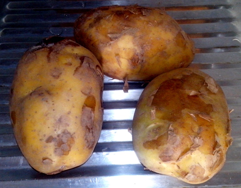 07_potato.jpg