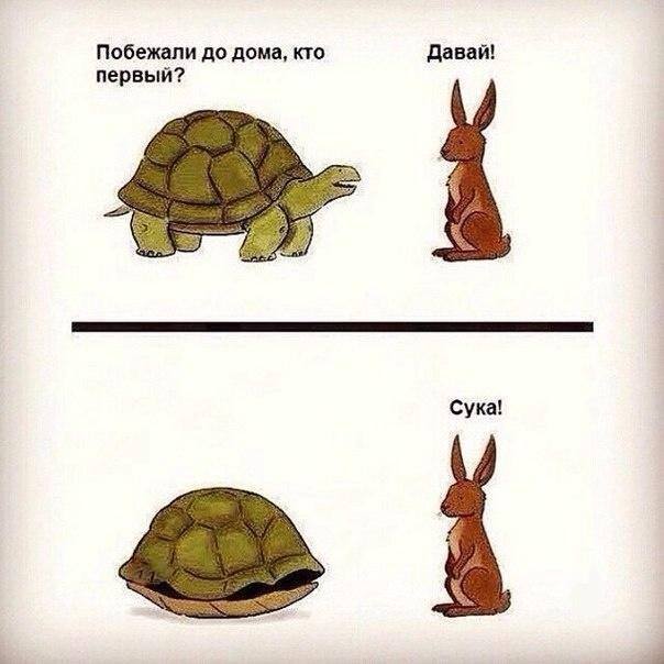 turtle-rabbit.jpg