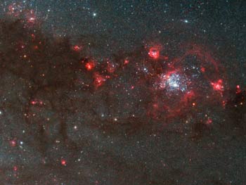Young, Hot Stars in a Spiral Arm