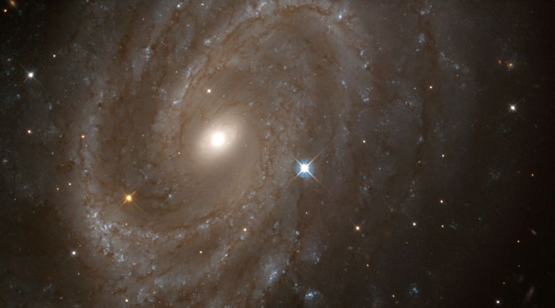 Distant Spiral Galaxy NGC 4603,