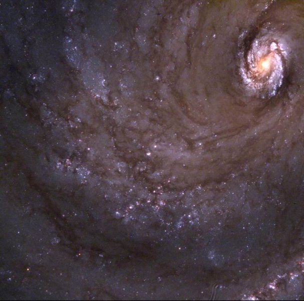 Galaxy M100.jpg