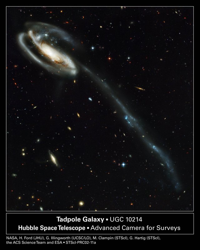The Tadpole Galaxy Distorted Vic