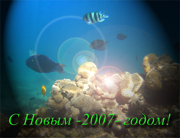 hny2007 diving.jpg