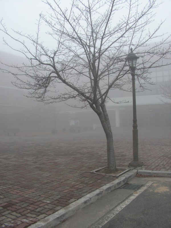 Исчезающий туман