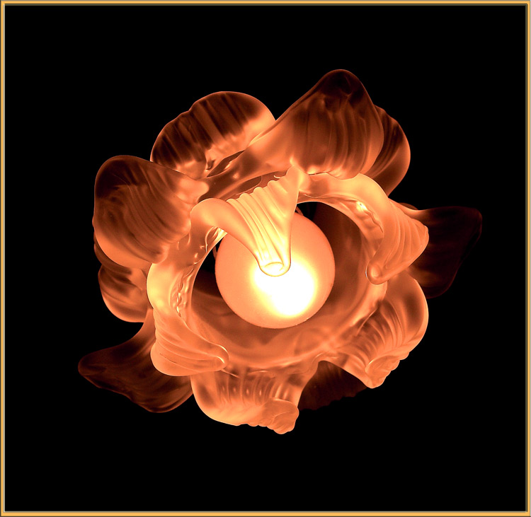 огненный-цветок.jpg