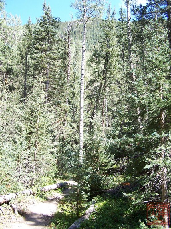 Wheeler Peak Wilderness 019.jpg