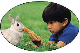 boy_with_rabbit.gif