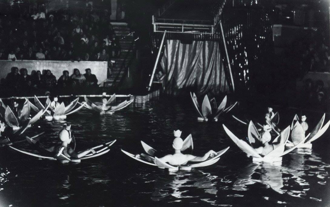 Цирк на воде в Криворожском Цирк