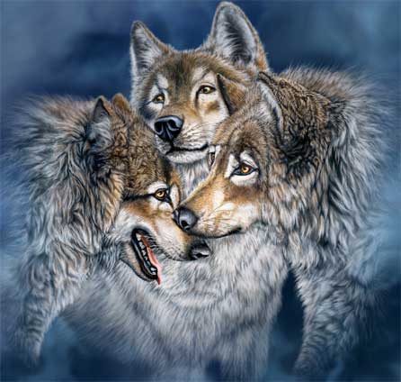 wolves_trio.jpg
