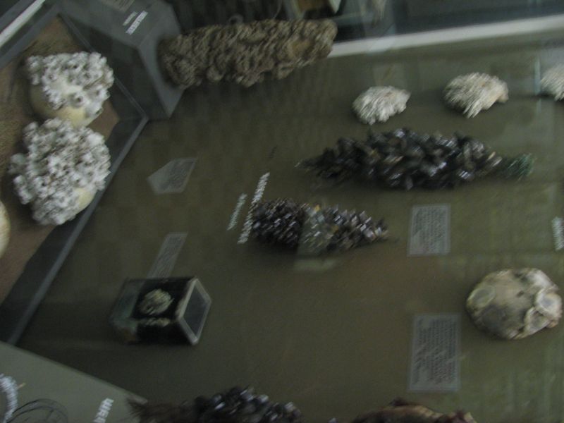 PictureFromGeologicalMuseum 098.