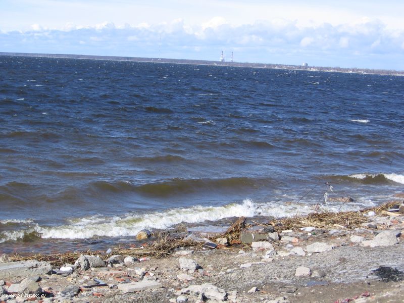 Ветер, волны, Финский залив