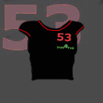 53-Tshirt-F.jpg