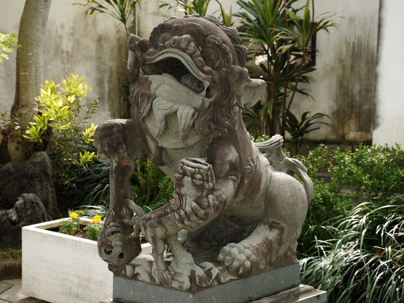 Прародитель сис - китайский лев