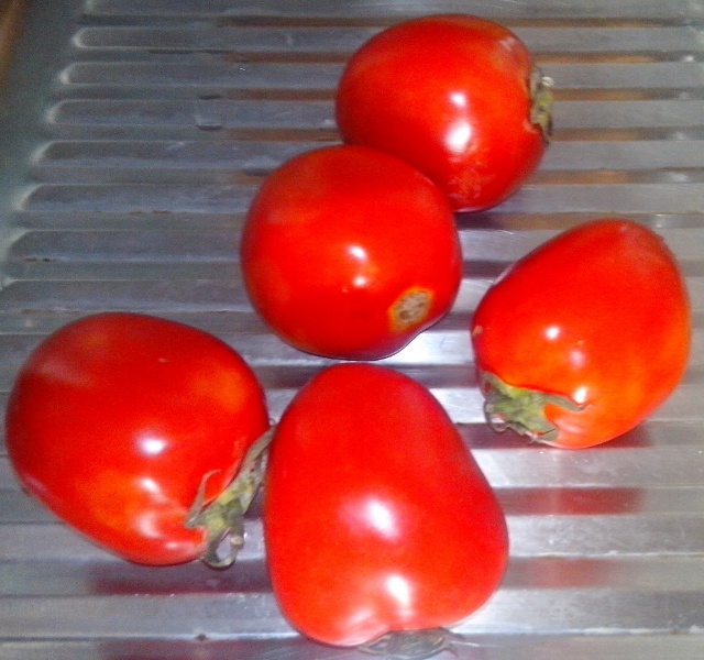 10_tomato.jpg