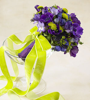 Deep_purple_anemones_and_lime_gr