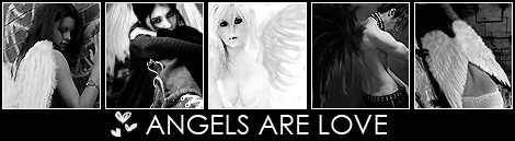 angels2.jpg