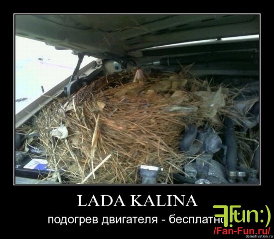 lada_kalina-jpg.jpg