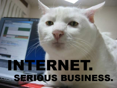 internet-serious-business-cat-th