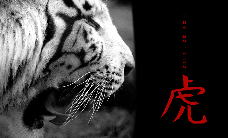 тигр-1-web.jpg