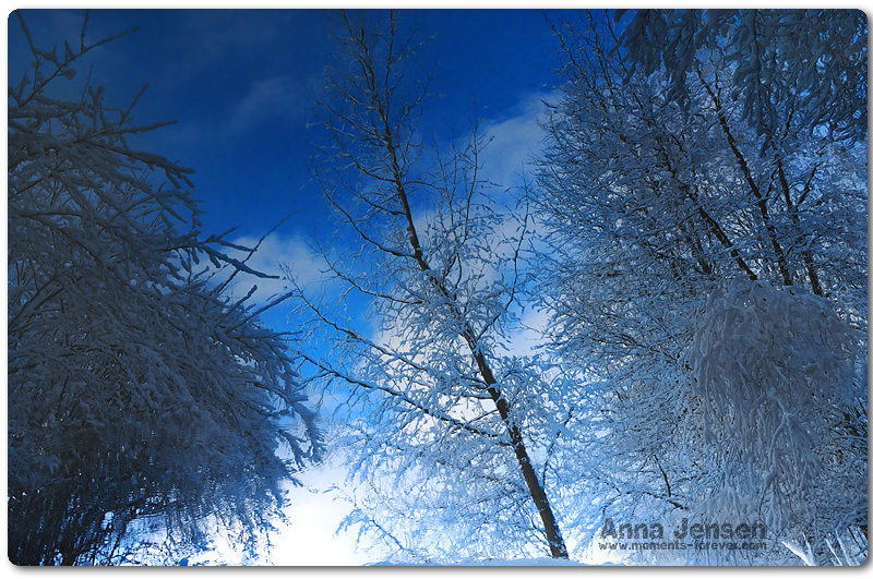 голубая зима 3.jpg