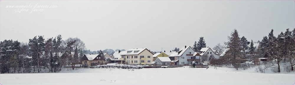 panorama winter.jpg