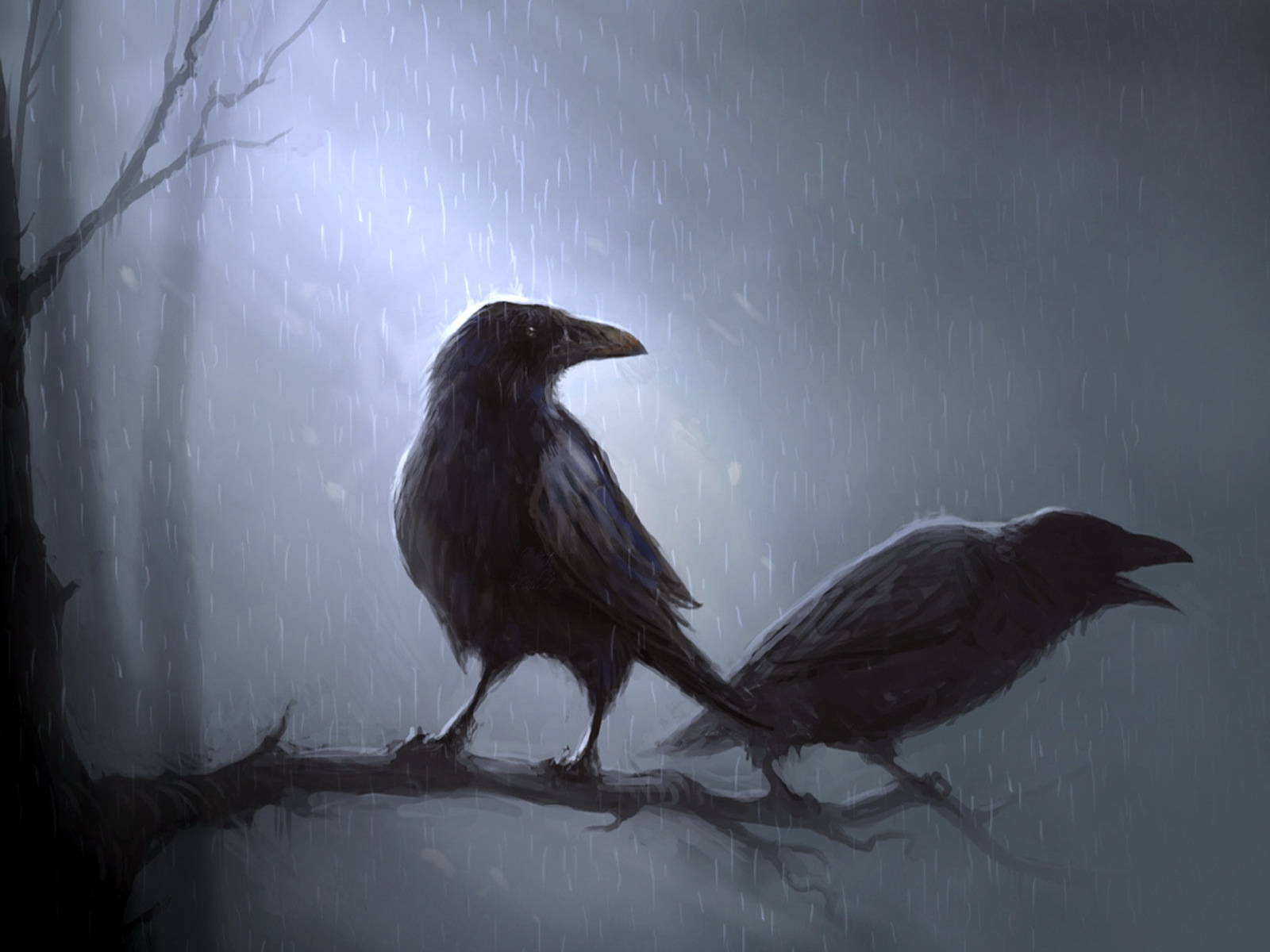 Crows_in_the_rain.jpg