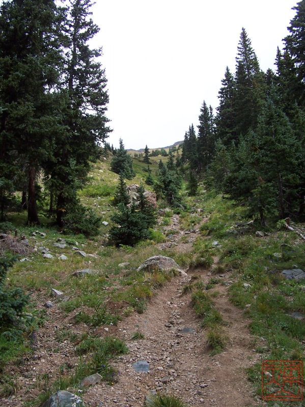 Wheeler Peak Wilderness 365.jpg