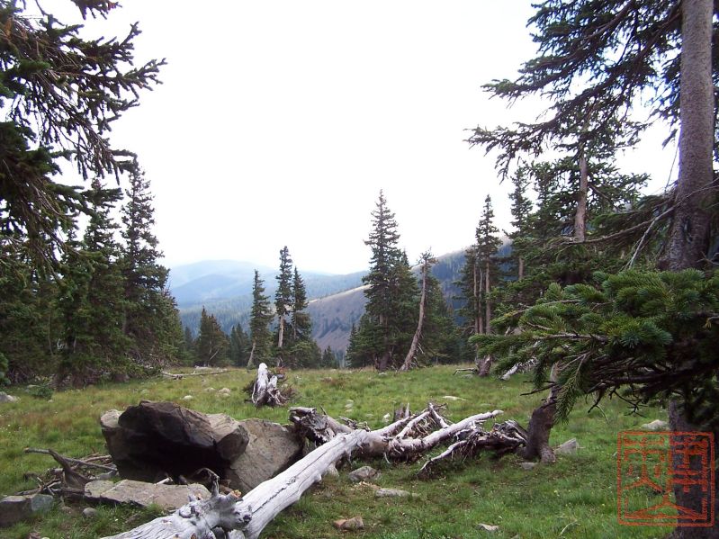 Wheeler Peak Wilderness 272.jpg