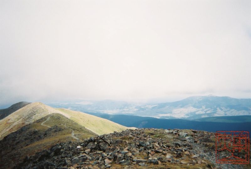 Wheeler Peak Wilderness 328 (2).