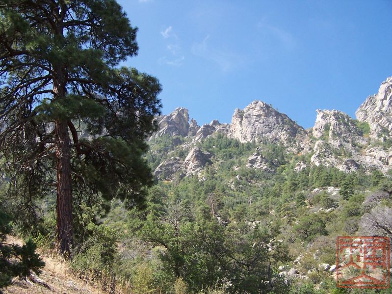 Organ Mountains_Pine Tree Trail