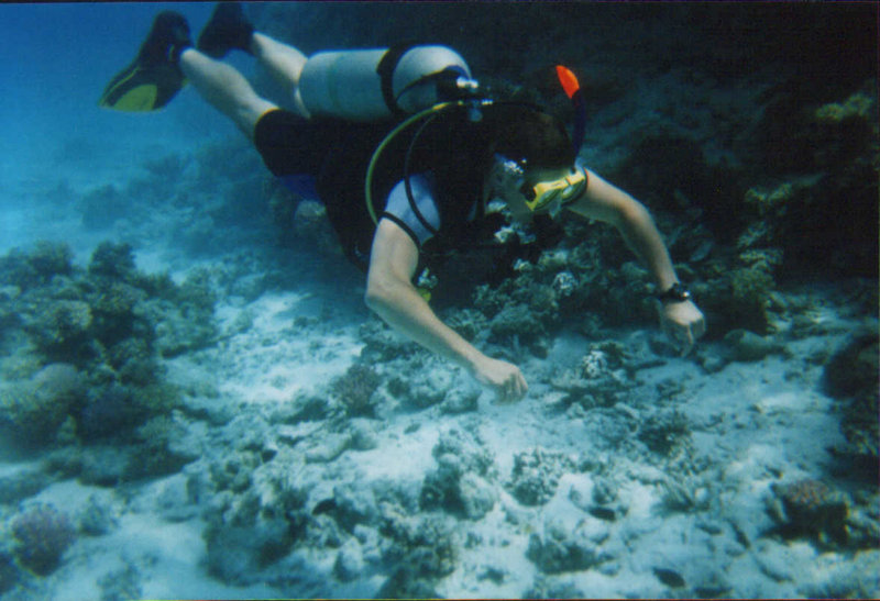Diving-07.2006-062.jpg