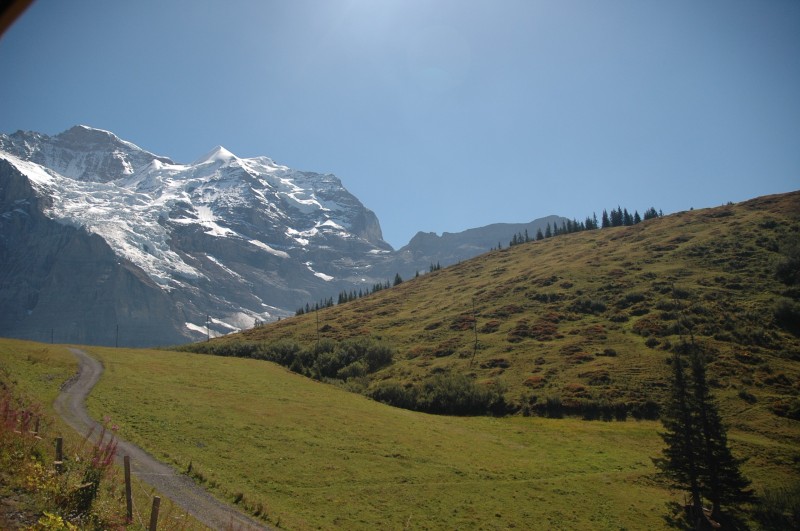 Юнгфрау Jungfrau-1.jpg