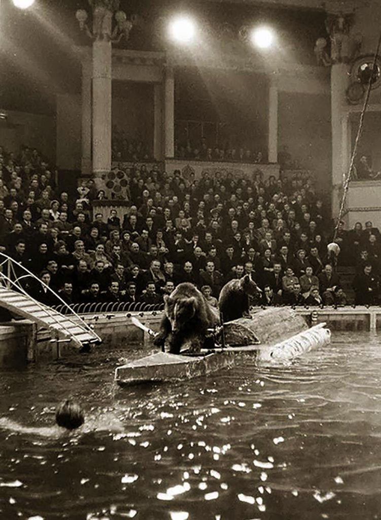 Медведи Цирка на воде.jpg