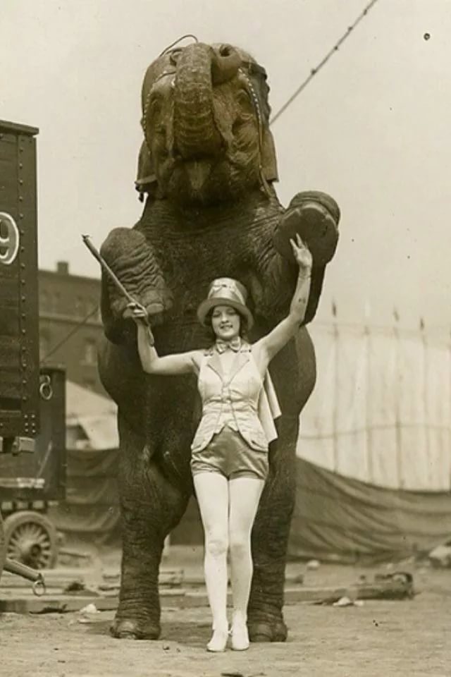 Старинные цирковые фотографии (4