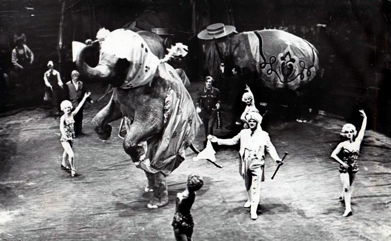 Танцовщица Савушкина и слоны Кор