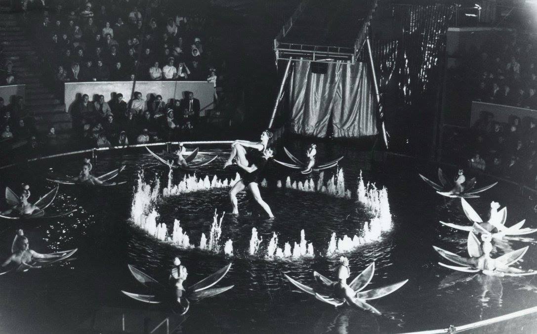 Цирк на воде в Криворожском Цирк