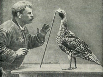 В. Л. Дуров с фазаньей курочкой.