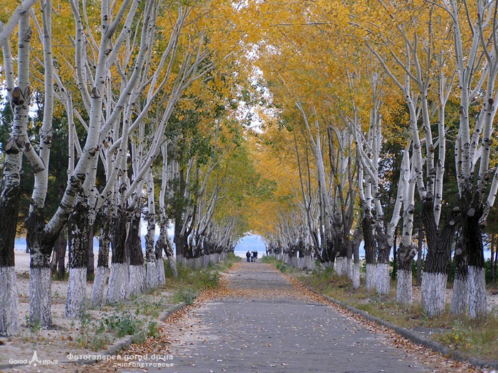 automne2005.jpg