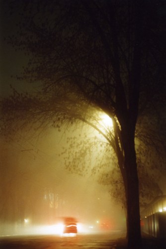 3_туман1.jpg